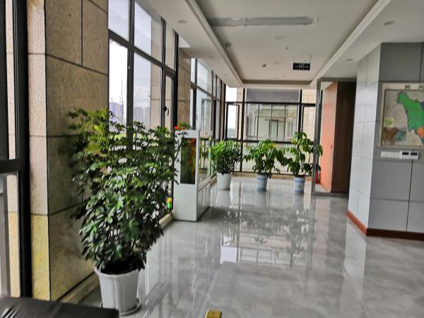 智能监控系统设计