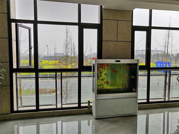 企业大面积无线WiFi覆盖